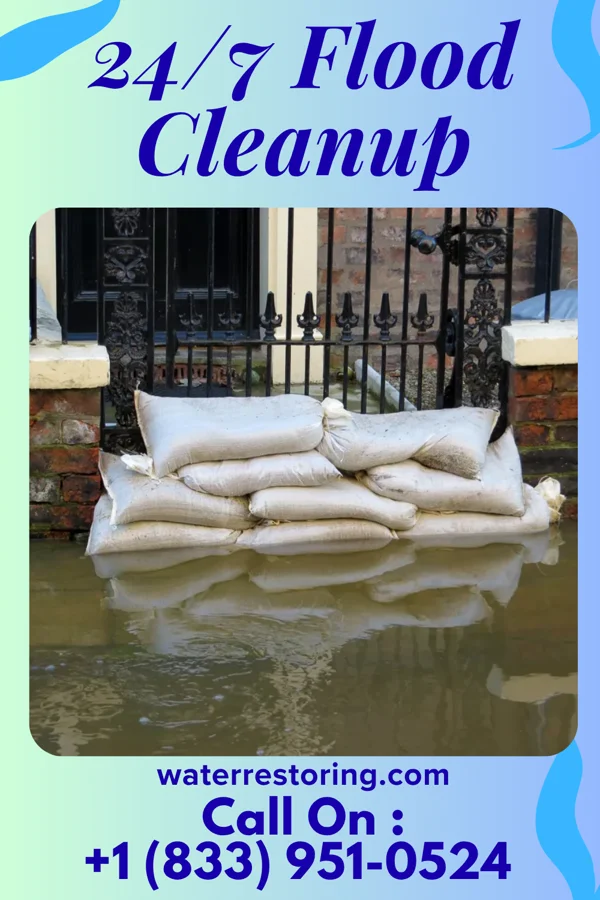 24/7 Flood Cleanup in Waverly, AL