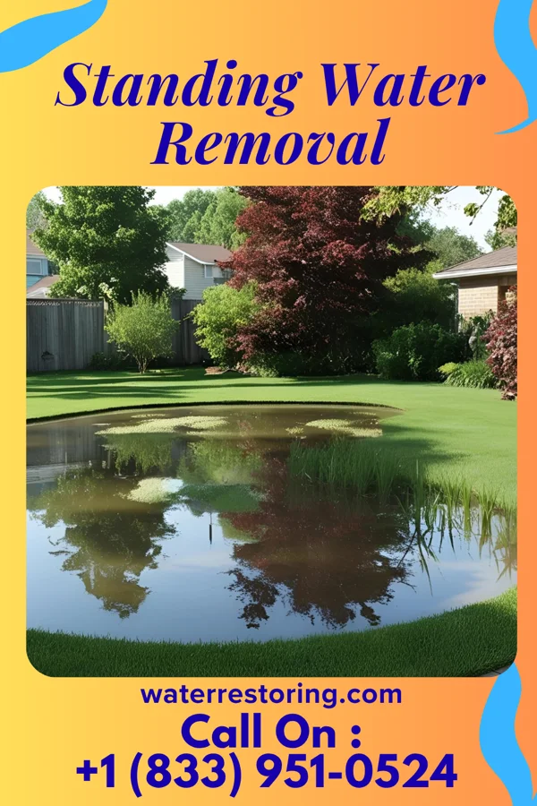 Standing Water Removal in Waverly, AL